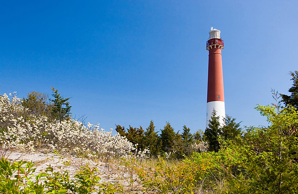 Barnegat Lighthouse, Barnegat NJ