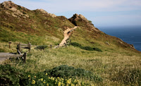 Point Reyes National Seashore