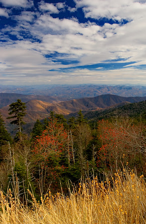 Clingman's Dome