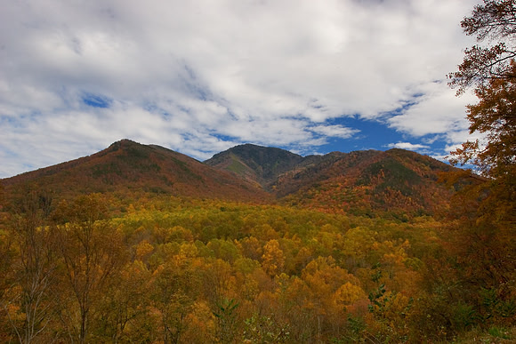 Cades Cove Motor Trail