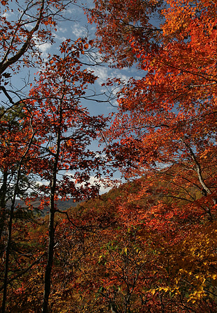 View from the Laurel Falls Trail