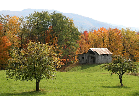 Canaan Valley Barn
