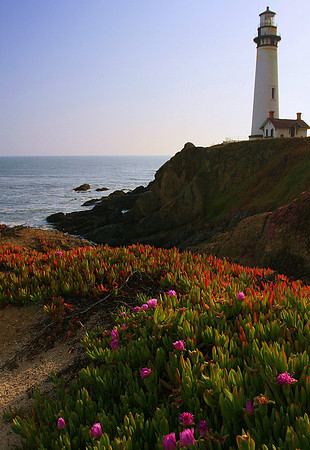 Pigeon Point Light Station
