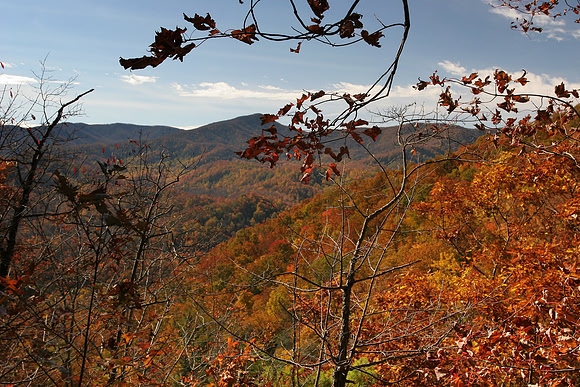 View from the Laurel Falls Trail