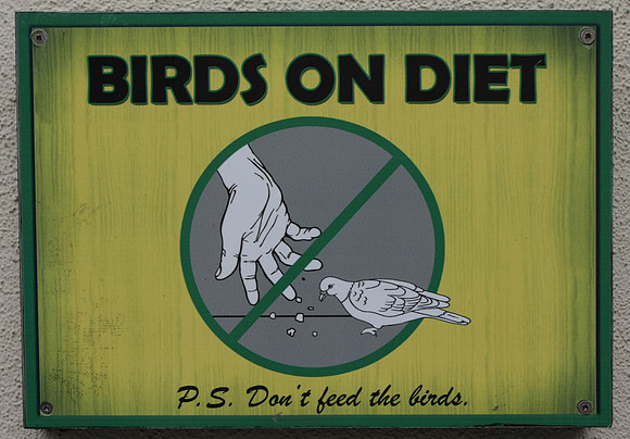 Even the birds are on a diet!