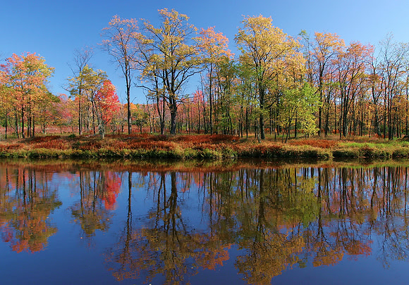 Canaan Valley Wildlife Management Area