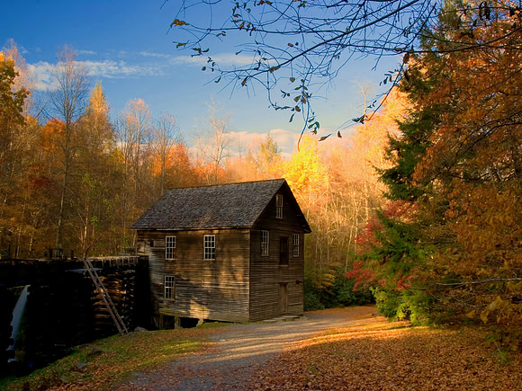 Mingus Mill