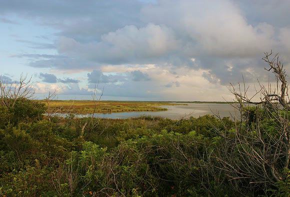 Pea Island, North Carolina