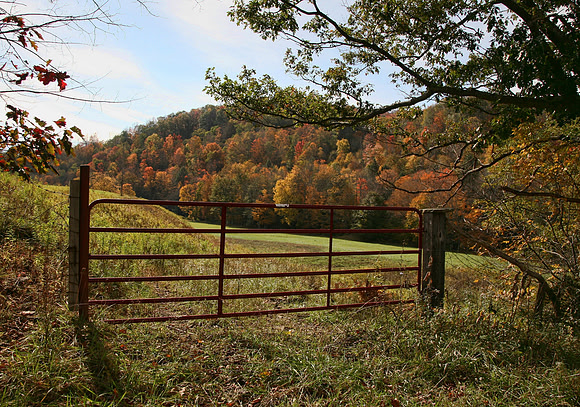 The Gate