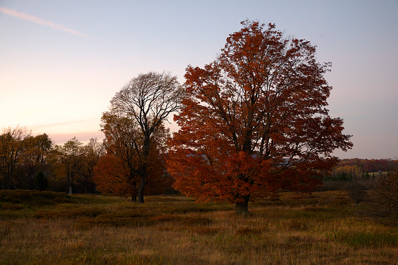 Twilight at Canaan