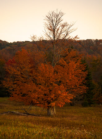 Sundown in Canaan Valley