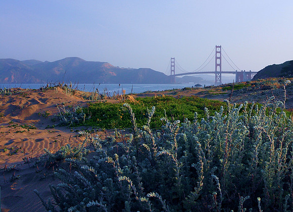 View of the Golden Gate
