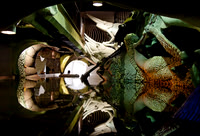 City Museum