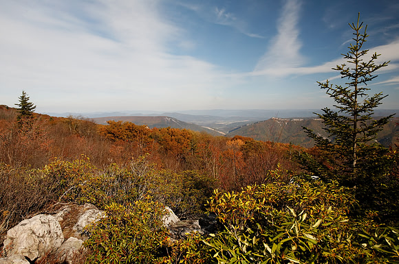 Autumn in Dolly Sods