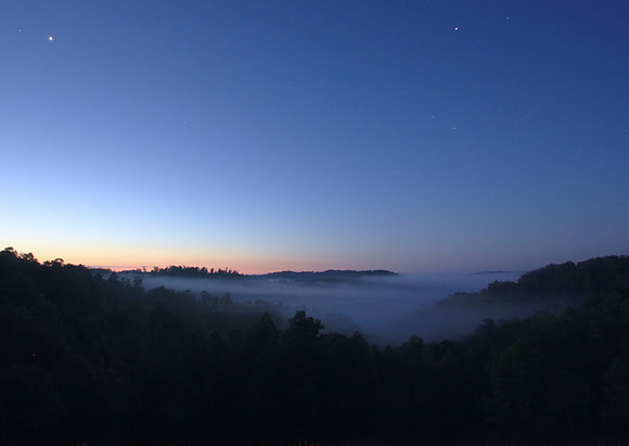 Mononagehelia National Forest Pre-Dawn