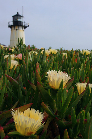 Point Montara Light Station